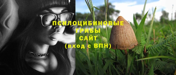 альфа пвп Бугульма
