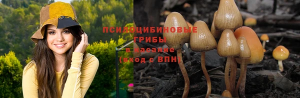 apvp Бронницы