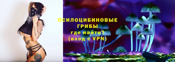 бутик Бородино