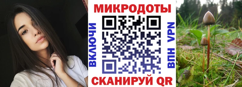 Галлюциногенные грибы мицелий Лукоянов